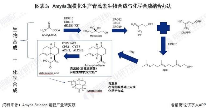 九游会国际【前瞻解读】2024-2029年全球及中国合成生物产业链及痛点分析(图2)