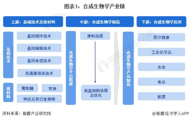 九游会国际【前瞻解读】2024-2029年全球及中国合成生物产业链及痛点分析(图5)