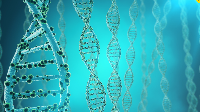 2024合成生物学及发酵前沿技术论坛(图1)