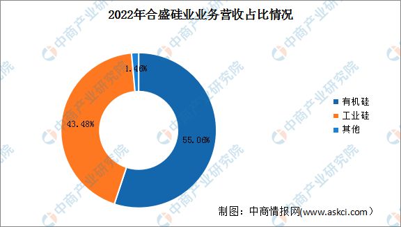2023年中国有机硅行业市场前景及投资研究报告(图10)