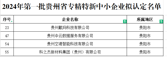 经济区4家企业入选2024年首批贵州省专精特新中小企业名单(图2)