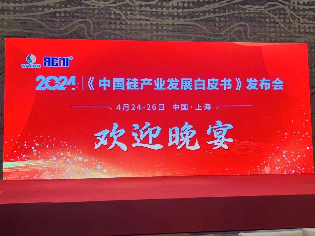 AG九游会圆满收官！2024（第二十四届）有机硅精细化学品技术交流会在上海隆重召开(图2)