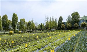 2024新材料产业现状及未来趋势：我国新材料产业正步入加速成长期(图3)