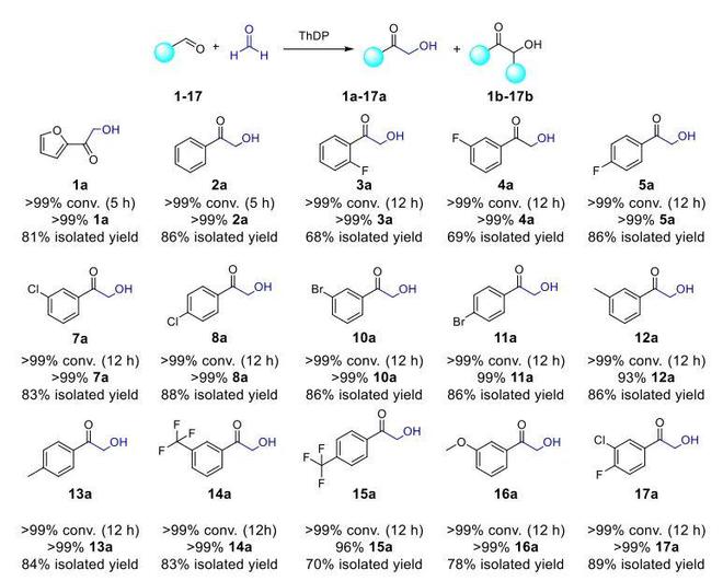 AG九游会天津工业生物所实现α-羟甲基酮化合物的高效可控合成(图2)