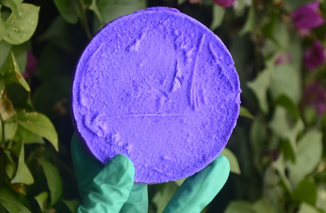 科学家用天然纳米素研制催化剂实现氢过氧化物的电化学合成产率高于同类材料数十倍(图2)