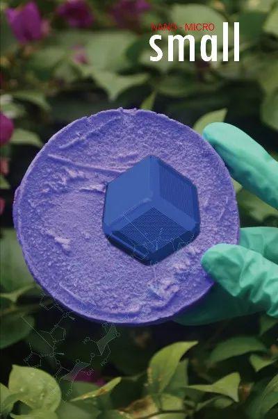 科学家用天然纳米素研制催化剂实现氢过氧化物的电化学合成产率高于同类材料数十倍(图3)