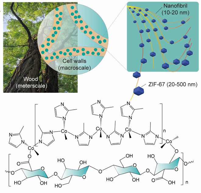 科学家用天然纳米素研制催化剂实现氢过氧化物的电化学合成产率高于同类材料数十倍(图4)