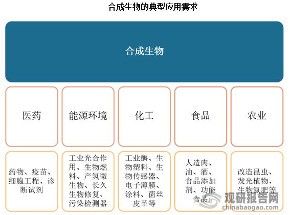 中国‌‌‌‌‌合成生物学行业发展趋势分析（2024AG九游会-2031年）(图2)