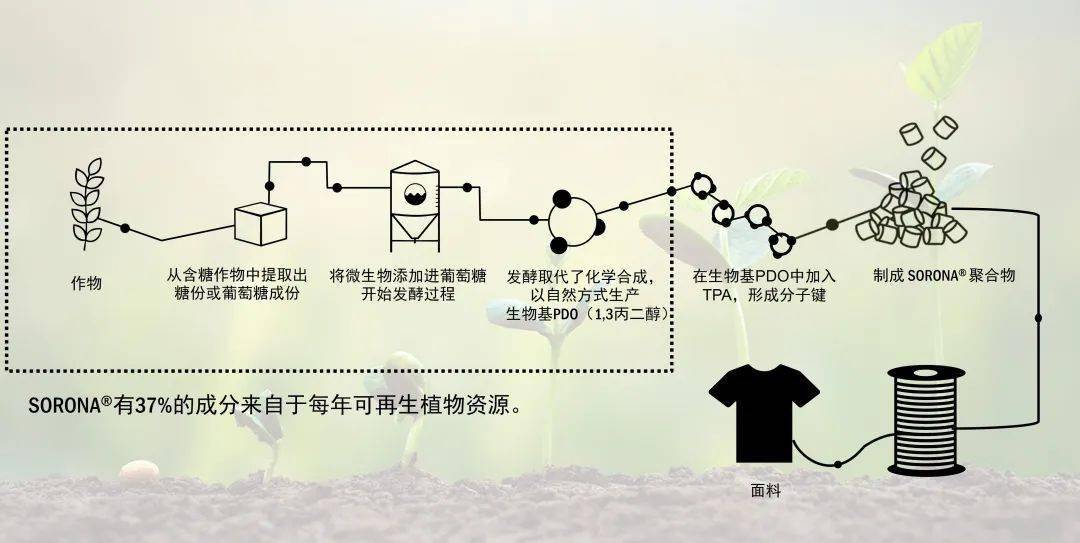 合成生物学“爆火”两大世界化工新材料龙头再加码！(图1)