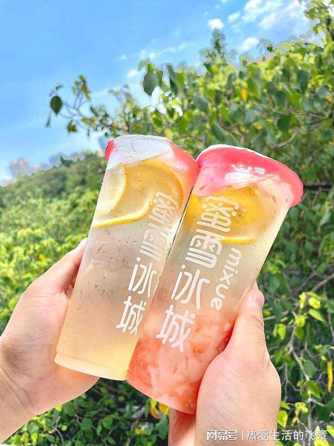 AG九游会蜜雪冰城2024加盟费明细：总投资214万！（各地区收费标准）(图1)