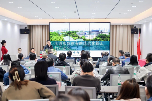 “武创荟”2024年华中师范大学新材料专场成果对接会在咸宁（武汉）离岸科创中心圆满举办(图3)