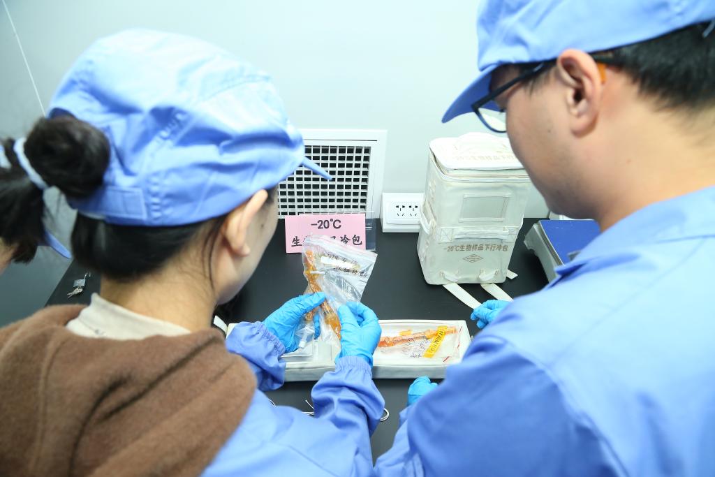 中国空间站第七批空间科学实验样品顺利返回(图1)
