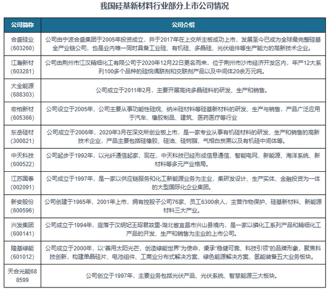 中国硅基新材料行业现状深度与未来前景分析报告AG九游会（2024-2031）(图3)