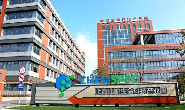 全区首家！这家企业入选上海市制造业单项冠军企业名单→(图1)