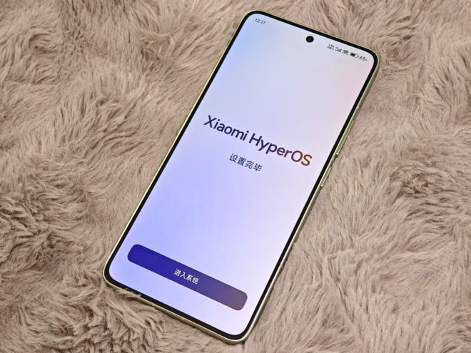 2024年中国手机市场总份额已出炉：vivo领跑华为小米争霸！(图2)