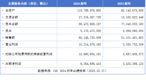 环球新材国际(06616)2024年营收高增55%全球化协同发展成效显著(图2)