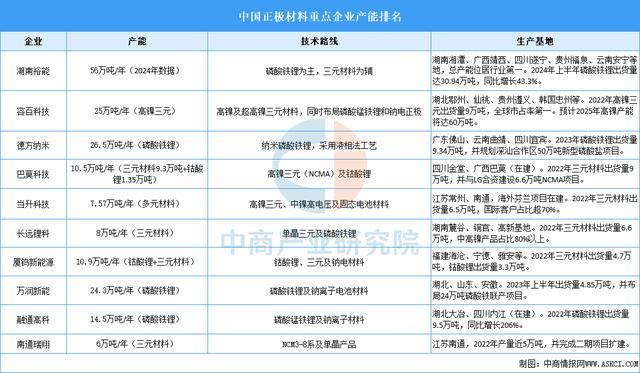 2025年中国正极材料行业市场前景预测研究报告（简版）(图6)
