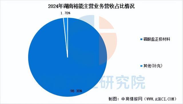 2025年中国正极材料行业市场前景预测研究报告（简版）(图8)