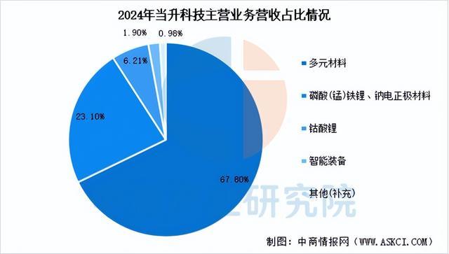 2025年中国正极材料行业市场前景预测研究报告（简版）(图12)