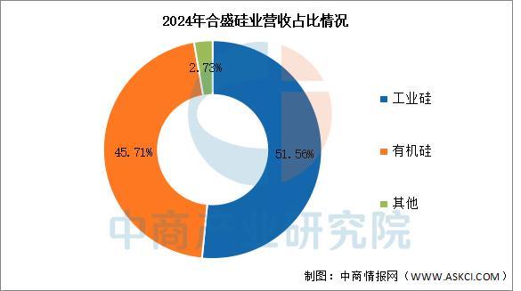 2025年中国有机硅行业市场前景预测研究报告（简版）(图9)