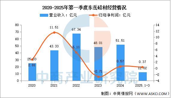 2025年中国有机硅行业市场前景预测研究报告（简版）(图10)