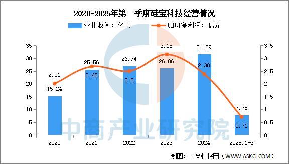 2025年中国有机硅行业市场前景预测研究报告（简版）(图13)