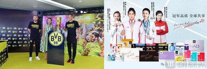 从“肠道健康”到“合成抗衰”：澳洲蔓薇的十年积淀与全球化三步赋能模式(图2)