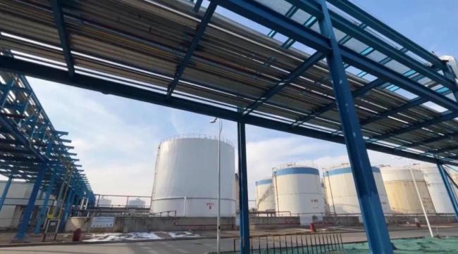 淄博精细化工：雁阵集群竞AG九游会新逐绿(图5)