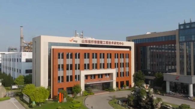 淄博精细化工：雁阵集群竞AG九游会新逐绿(图6)