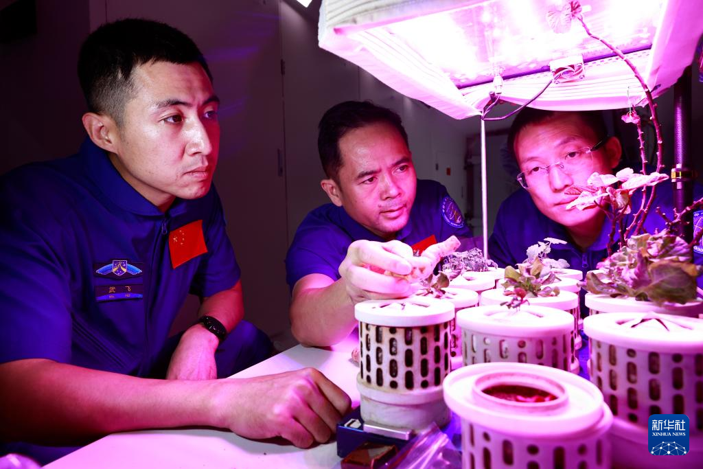 心怀凌云壮志逐梦星辰大海——记神舟二十一号航天员乘组(图5)