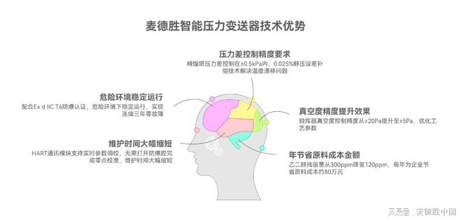 麦德胜智能仪表为聚合物净化装备提供精准测控与信号保障(图2)