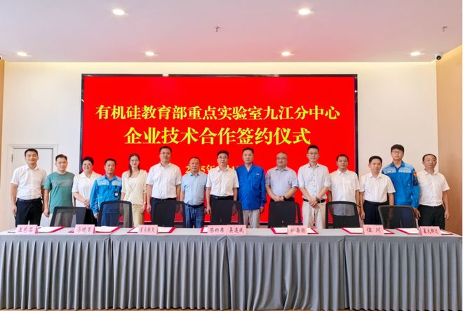 看永修有机硅产业如何从星星之火到燎原之势(图8)