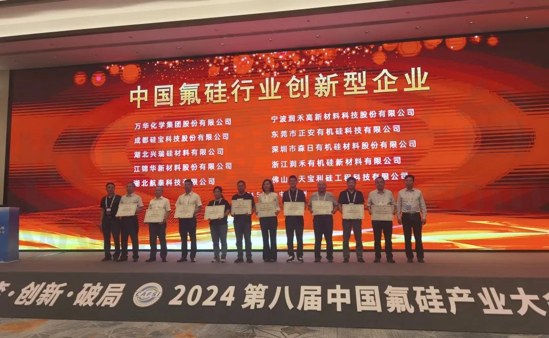 中国有机硅行业的领先者润禾材料荣获2024第八届中国氟硅产业大会五项殊荣(图1)