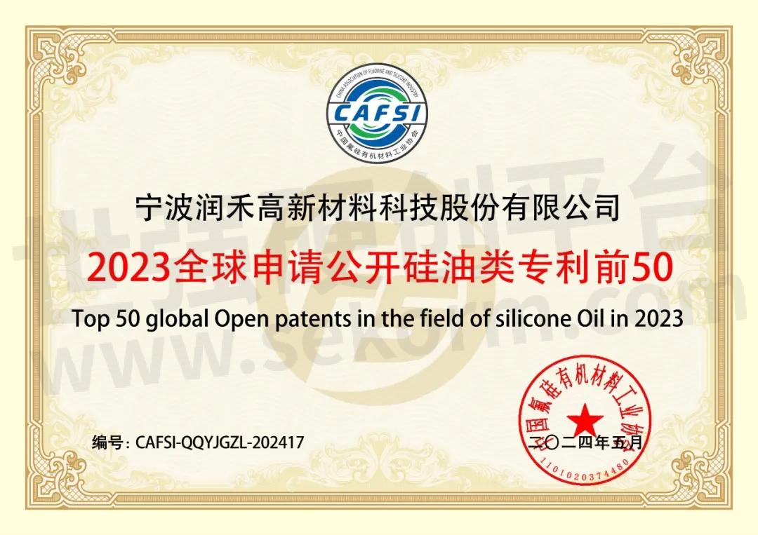 中国有机硅行业的领先者润禾材料荣获2024第八届中国氟硅产业大会五项殊荣(图2)