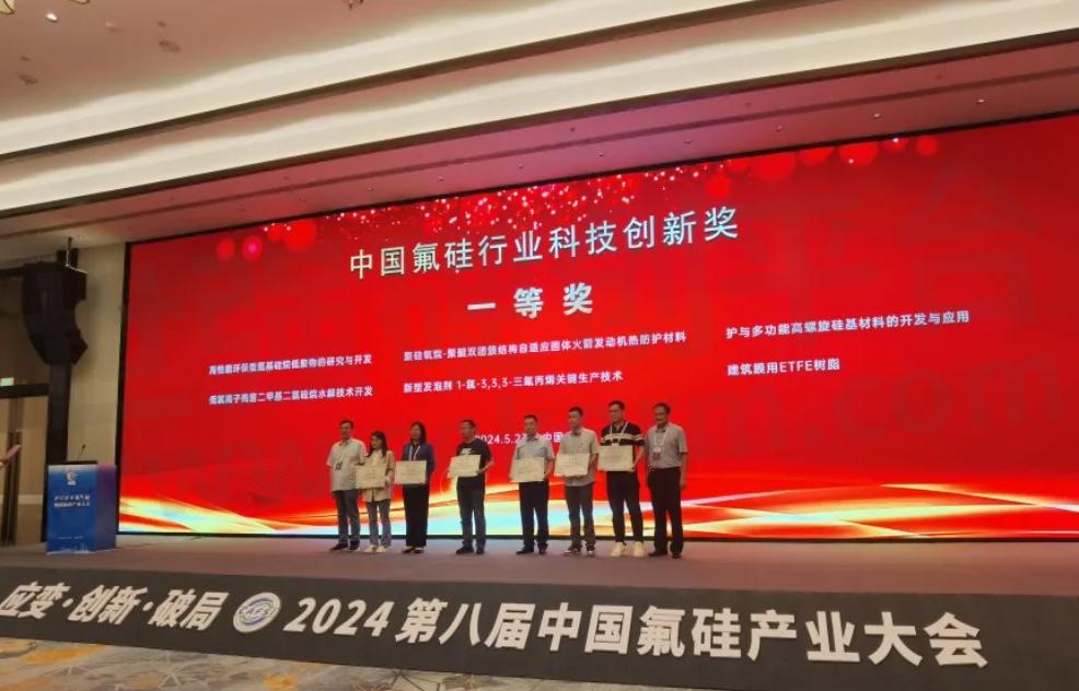 中国有机硅行业的领先者润禾材料荣获2024第八届中国氟硅产业大会五项殊荣(图4)