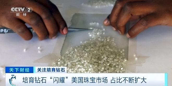 瞒不住了!黄仁勋来华抢货?国产新材料面世美日慌了连夜建厂(图9)