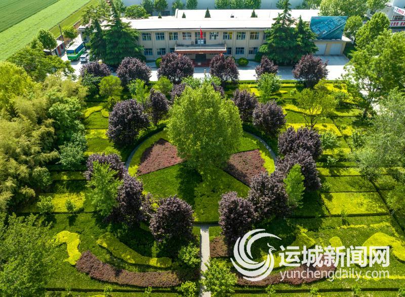 AG九游会从“镁”出发向“绿”而行(图1)