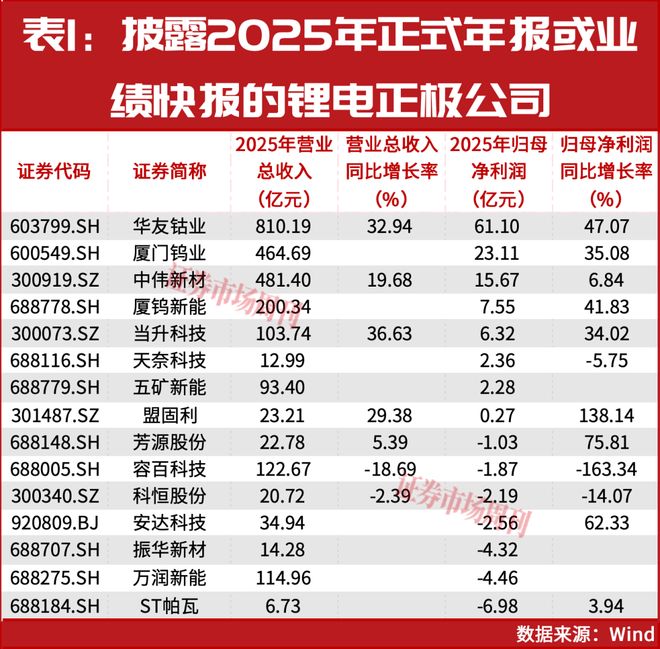 锂电正极“冰与火”：有矿、有技术AG九游会者成“王者”(图2)